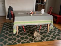 Capel Rugs Low Profile Super Grip Review