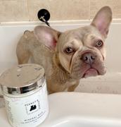 Peanut & Pickle Canine Skincare Mineral Mud Review