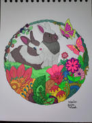 ColorIt Coloring Books Colors Of Nature Illustrated By Stevan Kasih Review