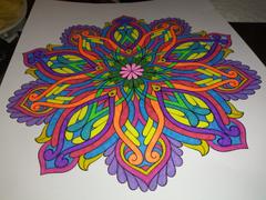 ColorIt Coloring Books 48 Colored Gel Pen Set, 48 Ink Refills, Travel Case & Gift Box Review