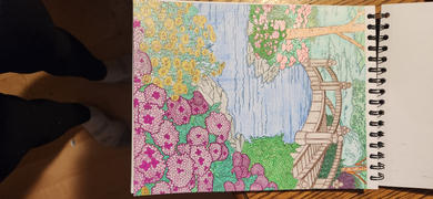 ColorIt Coloring Books Colorful Flowers Volume 2 Coloring Book for Adults by Jackielou Pareja Review