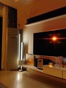 theLightzey Nordic LED Aurora Corner Standing Lamp Living Room Review