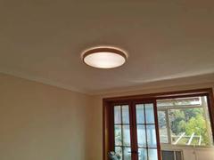 theLightzey  Review