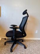theworkalley Butterfly Lumbar Support Mesh Office Chair Review