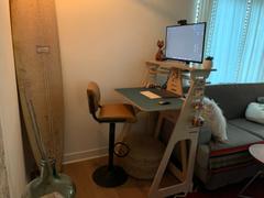 Work From Home Desks Standing Desk Review