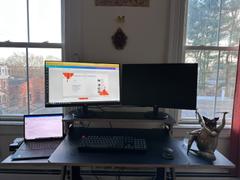 Work From Home Desks WFH Sitting Desk - Factory Second Review