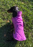 2RoyalHounds Puffer Wind & Rainproof Long Dog Cape - 18 Colourways Review