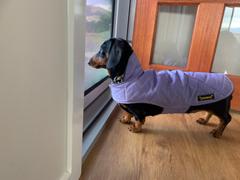 2RoyalHounds Puffer Wind & Rainproof Long Dog Cape - 18 Colourways Review