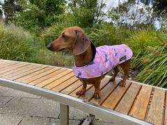 2RoyalHounds Light Weight Waterproof Lilac Dachshund Long Dog Cape Review