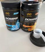 PVL DOMIN8 Review