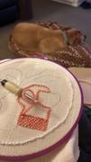 Clever Poppy Punch Needle Beginner's Bundle Review