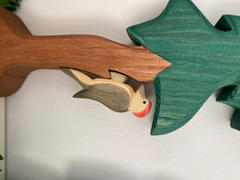 The Creative Toy Shop Ostheimer Bird - Woodpecker Review