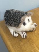 The Crafty Kit Company Baby Hedgehog Needle Felting Kit Review