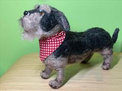 The Crafty Kit Company Miniature Wirehaired Dachshund Needle Felting Kit Review