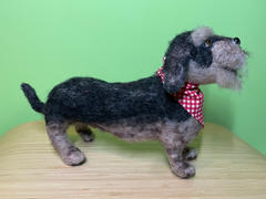 The Crafty Kit Company Miniature Wirehaired Dachshund Needle Felting Kit Review