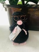The Crafty Kit Company Mr Mole Needle Felting Craft Kit Review