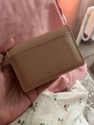 Lark and Ives Petite Card Case Holder Review