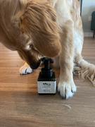 HAPPYBOND No Wash - Refresher Review