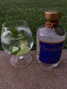 Chronicles Gin Italian Dry Gin Review
