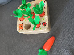 Speech Blubs Toys Carrots Sorting Box Review