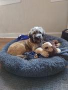Jollynaps™ Jollynaps™ Super Soft Calming Donut Bed Review