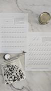 Logos Calligraphy & Design Digital Spencerian Practice Workbook - Lowercase Letters Review