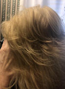 GK Hair USA Fast Blow Dry Review
