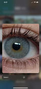 Dimple Color Mellow Gray Lenses Review