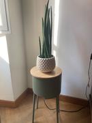 HiroDesign Set portavasi Altea tonda (small) e vassoio - Verde Fossile Review
