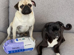 earthbath® Tushy Wipes Review