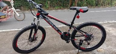 BIGMK.PH XiX 3 Speed Steel Folding Bike Size 16 Review