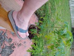 Cobian Footwear ARV 2™ Review
