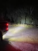 F150LEDs.com 2004 - 2008 SPARTAN SERIES CREE LED REVERSE BAR KIT (pair) Review