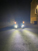 F150LEDs.com 2015 - 2020 SPARTAN SERIES CREE LED REVERSE BAR KIT (pair) Review
