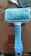 IZEN Pet Hair Removal Brush Review