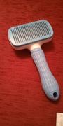 IZEN Pet Hair Removal Brush Review