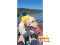Oz Inflatable Kayaks Moray Alloy 4-Part Kayak Paddle Review