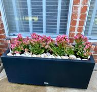 Veradek metallic long box planter Review