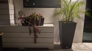 Veradek pure window box planter Review