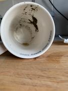 Pukka Herbs Peppermint & Licorice 20 Tea Bags Review