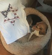 Chummy Tees I Support Israel T-Shirt Review