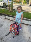 Posh Peanut Moonbeam Lunch Bag Review