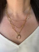 Ettika Layered Gold Chain & Crescent Horn Necklace Review