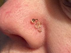 Rock Your Nose Jewelry Inc. Rose Gold Snake Nose Stud in Solid 14 Karat Gold Review