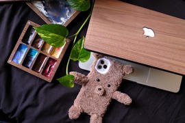 WoodWe MACBOOK PROTECTIVE CASE - Made of Real Wood - Walnut Review