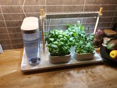 Auk Auk Start Kit Review