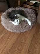 Magische Pfoten MagischePfoten™ Kuscheliges Katzenbett Review