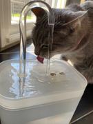 Magische Pfoten MagischePfoten™ Wasserbrunnen für Katzen Review