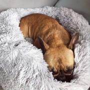 Magische Pfoten MagischePfoten™ Wolke 7 Kuscheliges Hundebett Review