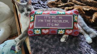 Edge of Urge It's Me Needlepoint Pillow PREORDER Review